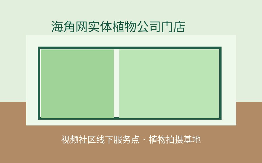 四虎视频