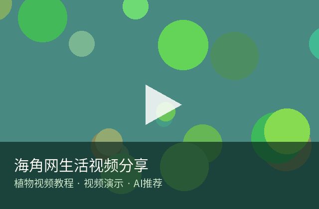 四虎视频