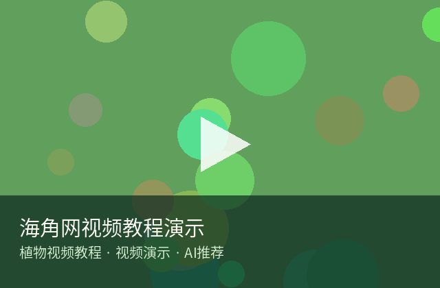 四虎视频