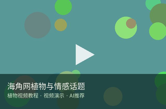 四虎视频