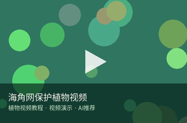 四虎视频